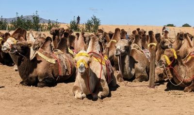 Kathryn Cotnam Cycling on the  tour with redspokes